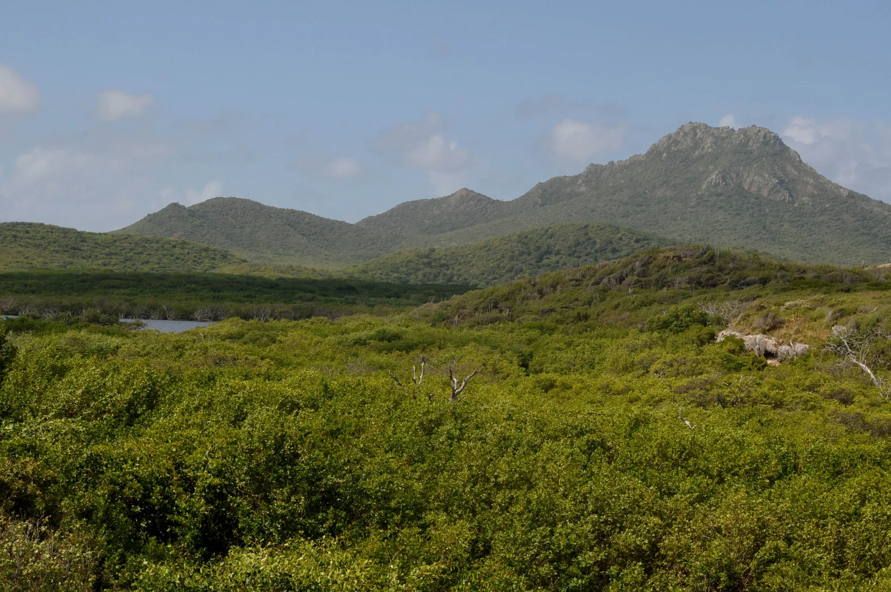 Curaçao’s inland natural landscape
